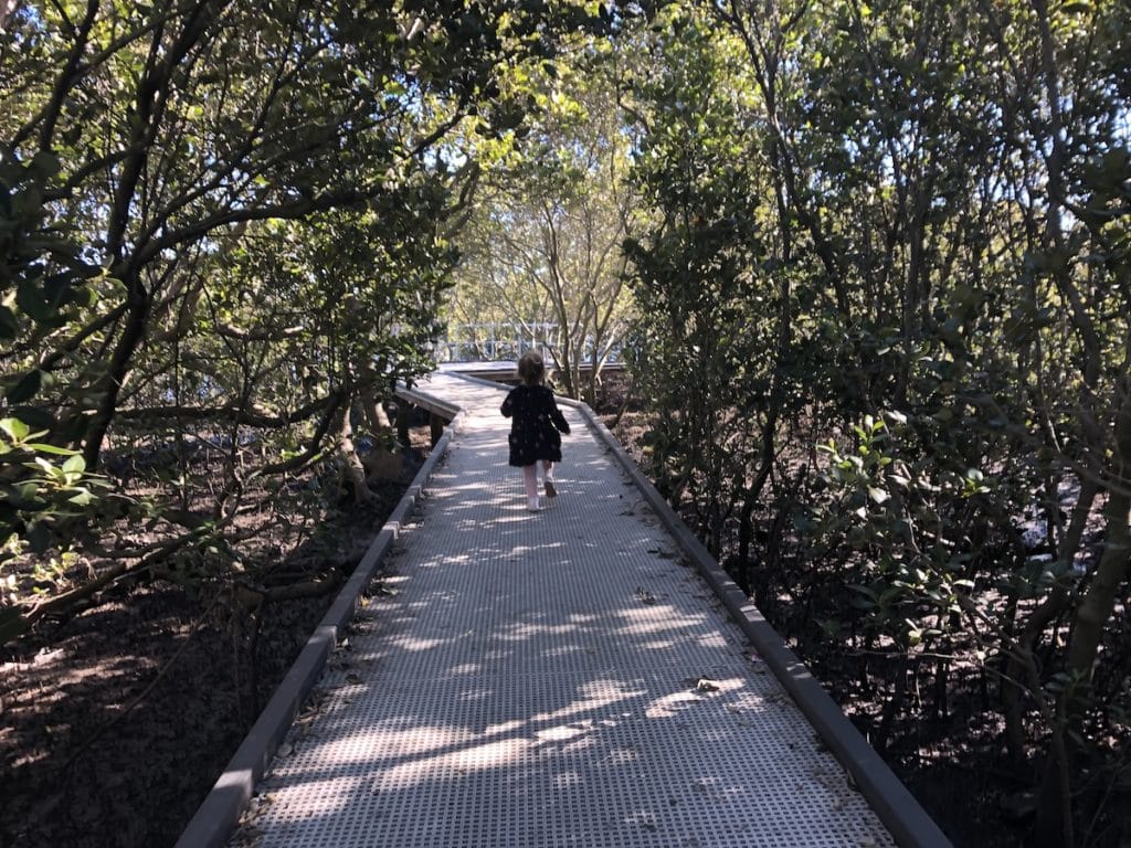 Carrington Mangrove Walk