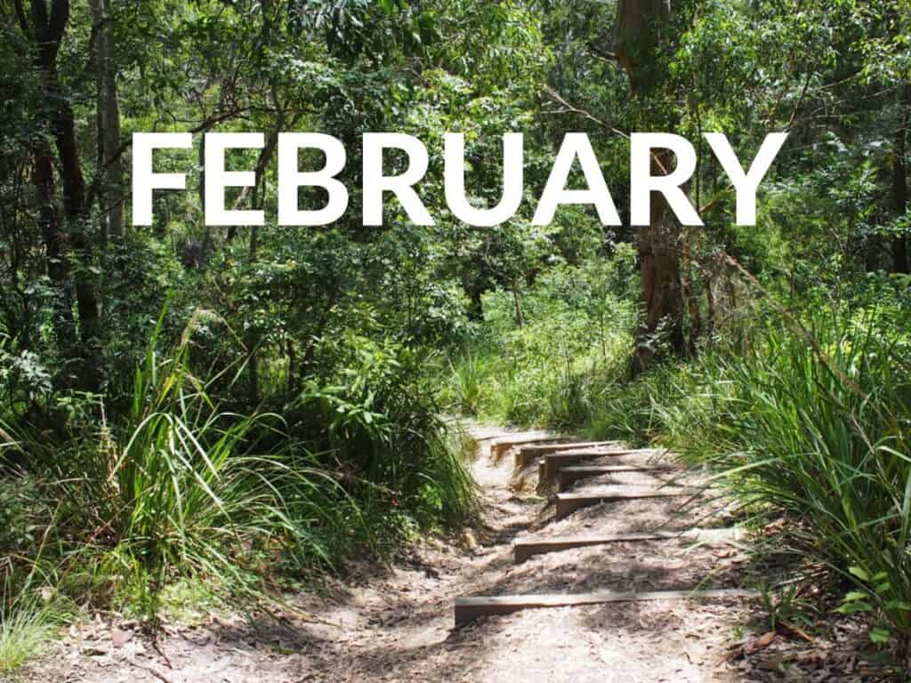 What's on in February