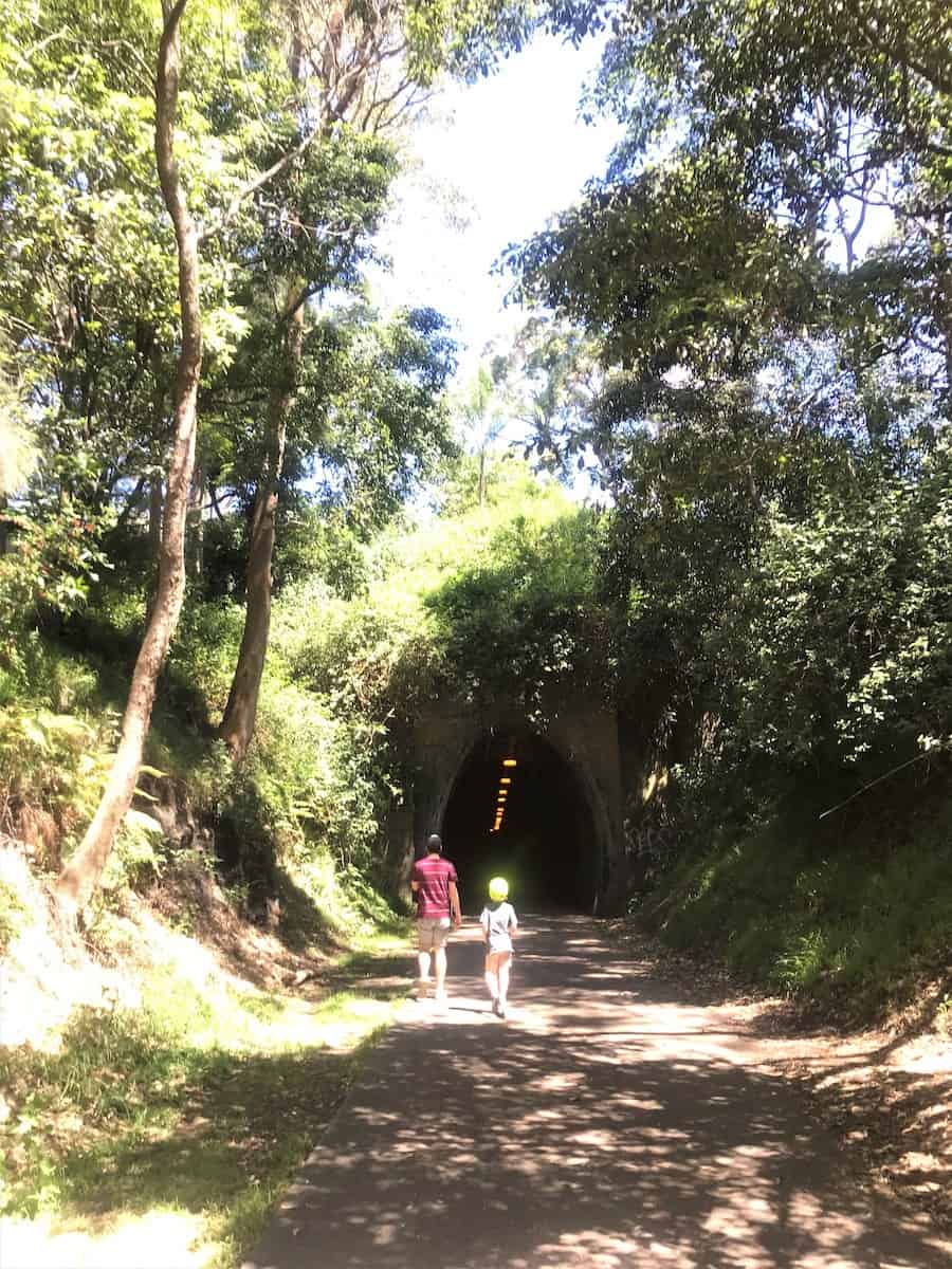 fernleigh track tunnel