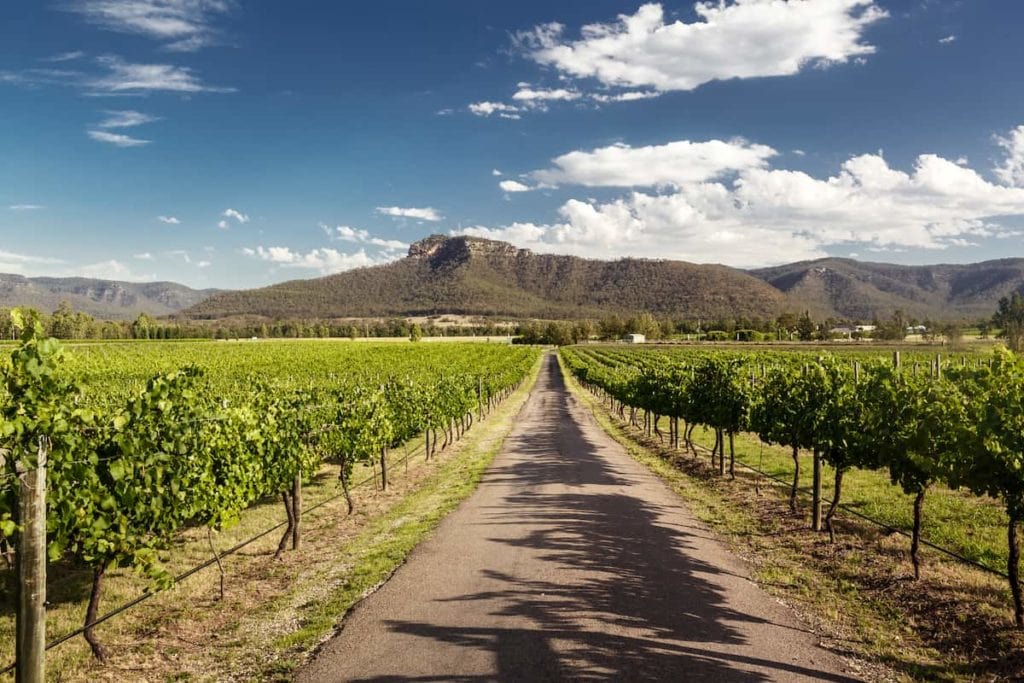 Things to do in Hunter Valley