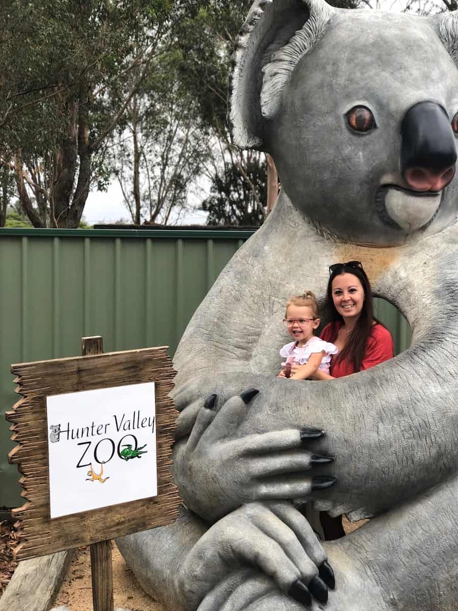 Hunter Valley Zoo Koala