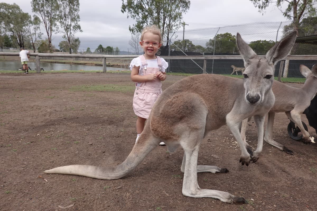 Hunter Valley Kids Things to Do