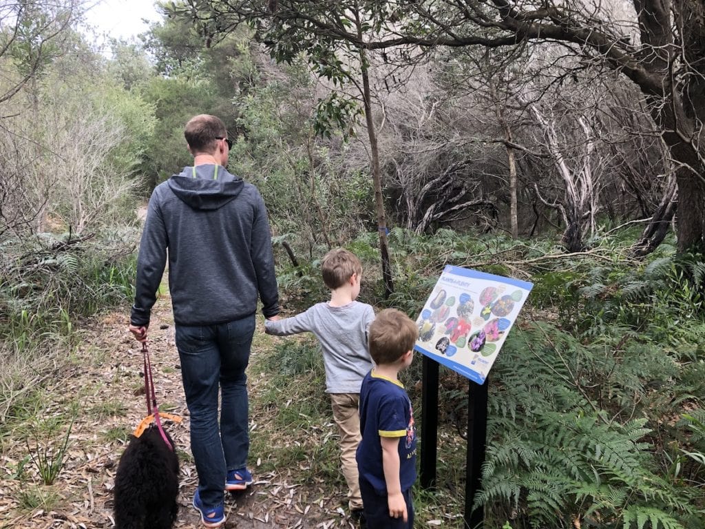 bush walks lake macquarie