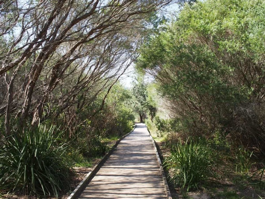 bush walk lake macquarie