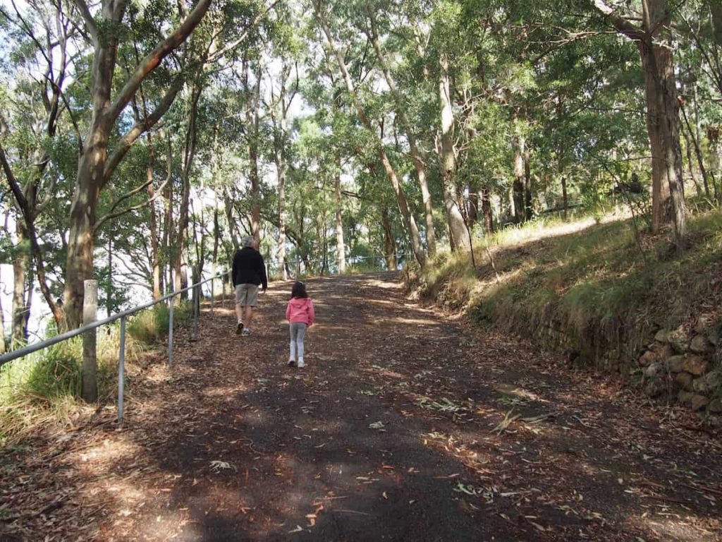 Mount Sugarloaf bush walk