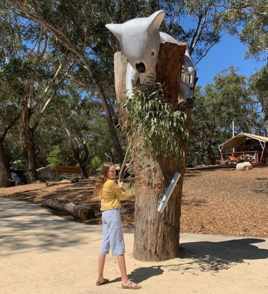 Port Stephens Koala Sanctuary NSW