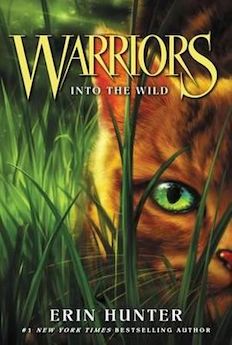 Warriors Book Series